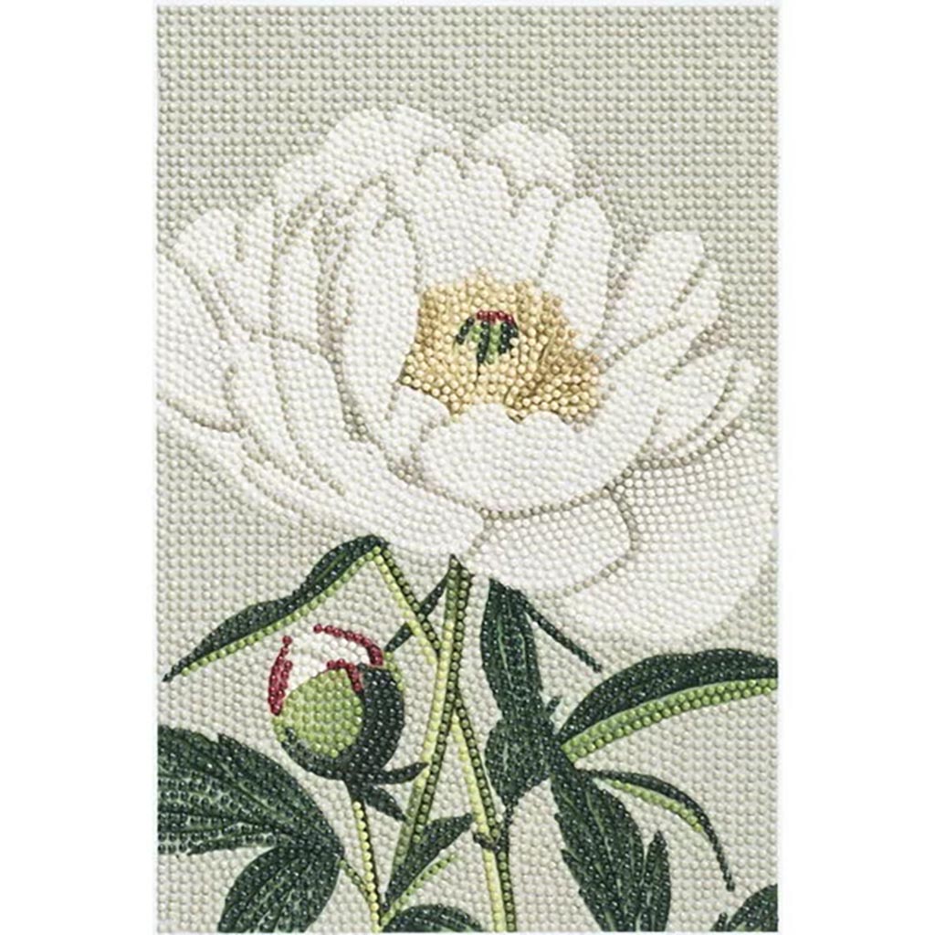 TIMANTTIMAALAUS 20X30CM | PEONY