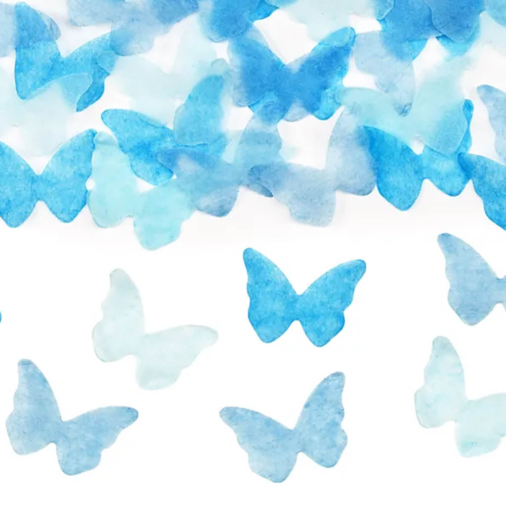 KONFETTITYKKI | SUKUPUOLENPALJASTUS