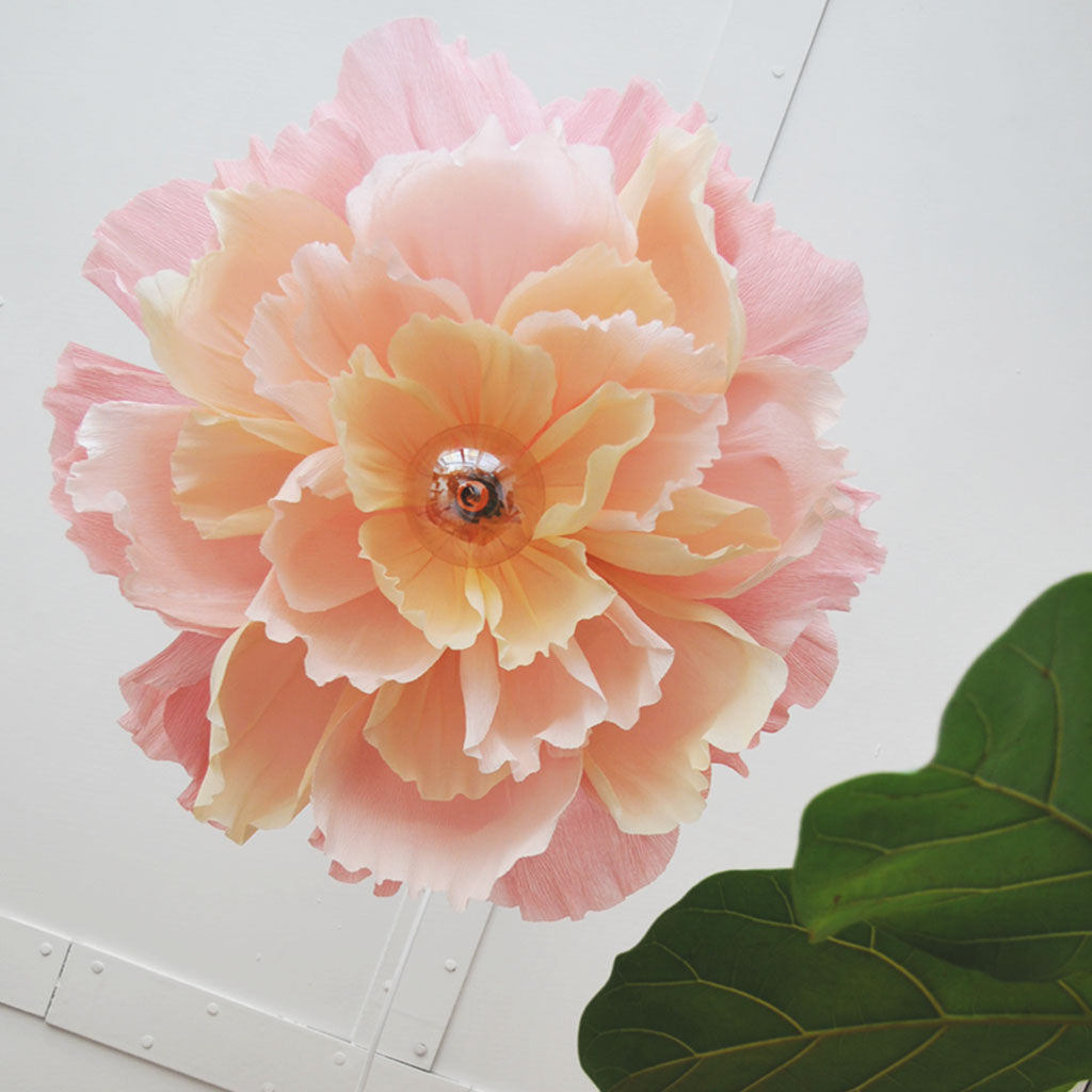 KREPPIPAPERI | FLORISTI