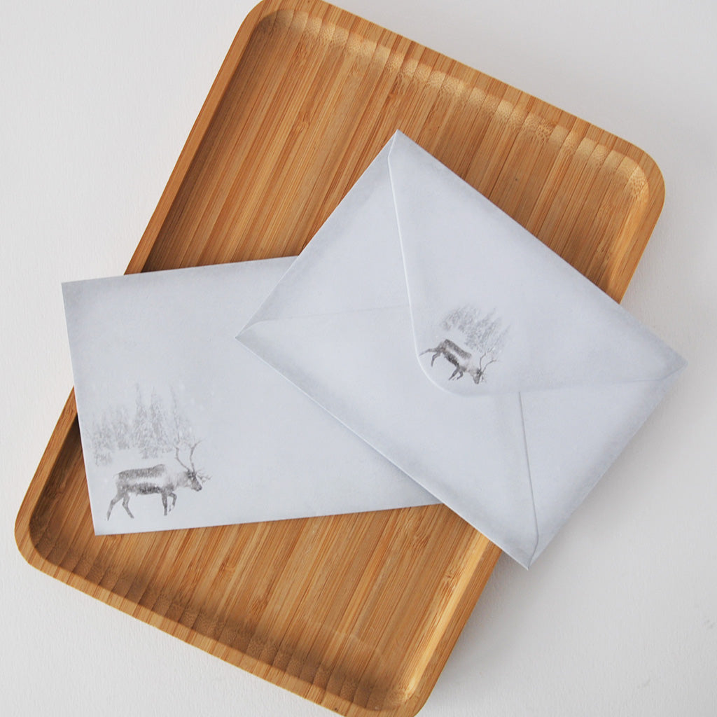 JOULUISAT KIRJEKUORET C6 10KPL