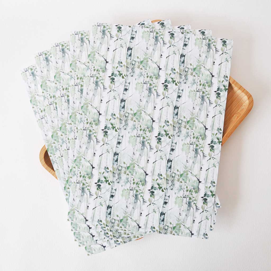 KUVIOKARTONKI A4 5KPL | KOIVU