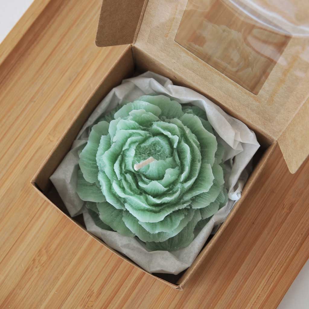 KARTONKIRASIA IKKUNALLA 5KPL - EKORUSKEA