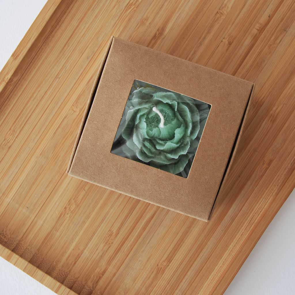 KARTONKIRASIA IKKUNALLA 5KPL - EKORUSKEA