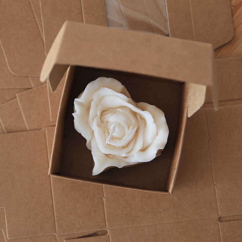 KARTONKIRASIA IKKUNALLA 5KPL - EKORUSKEA