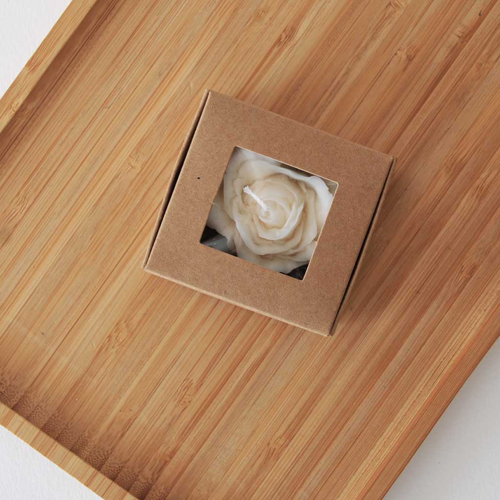 KARTONKIRASIA IKKUNALLA 5KPL - EKORUSKEA