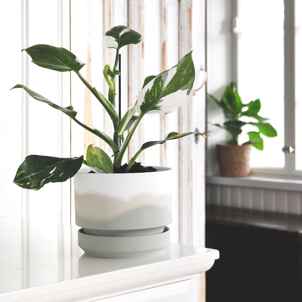 ACRYLINI -AKRYYLIVÄRI MATTA 22ML