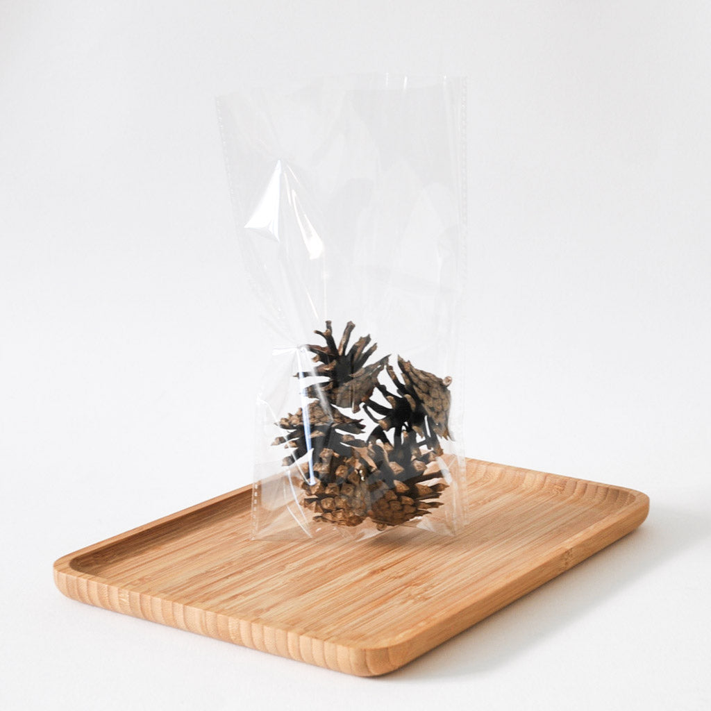 KIRKAS PUSSI 10KPL | POHJALLINEN