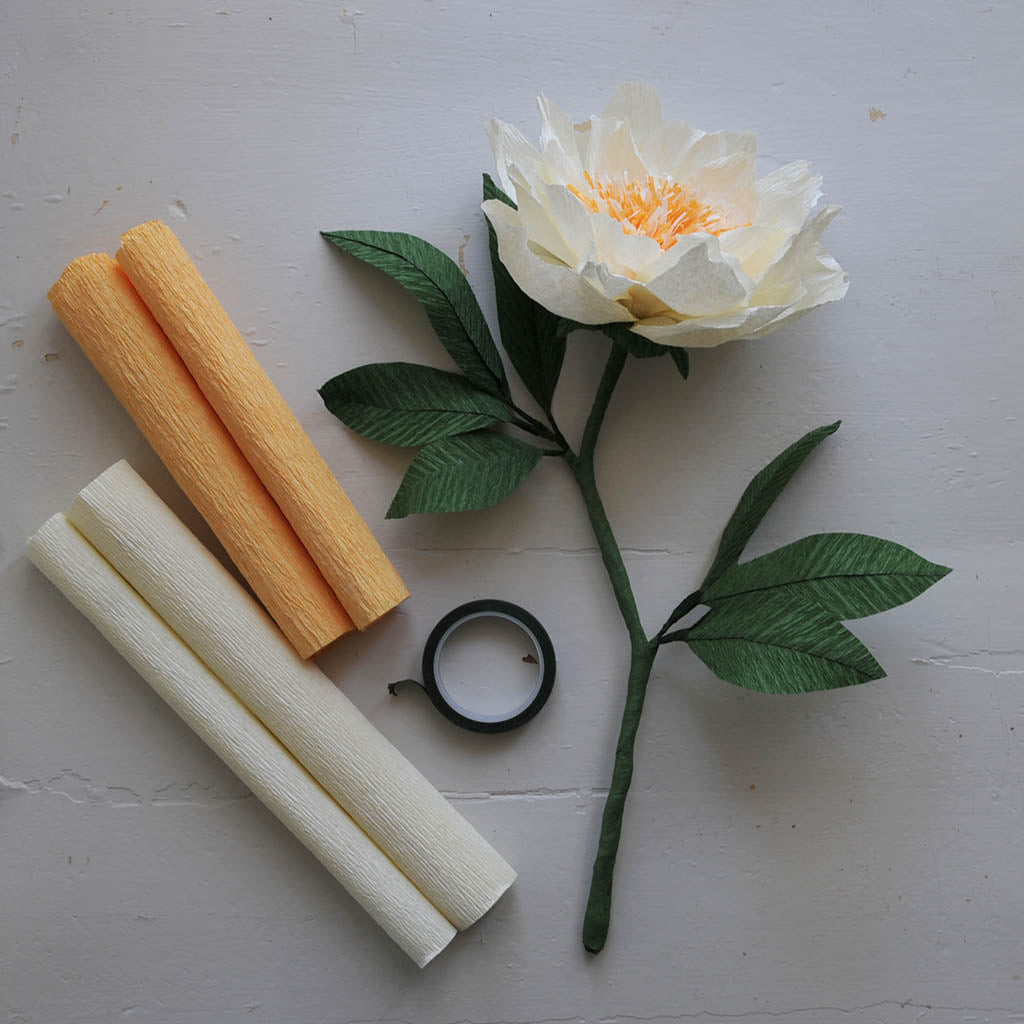 KREPPIPAPERILAJITELMA | CLASSIC