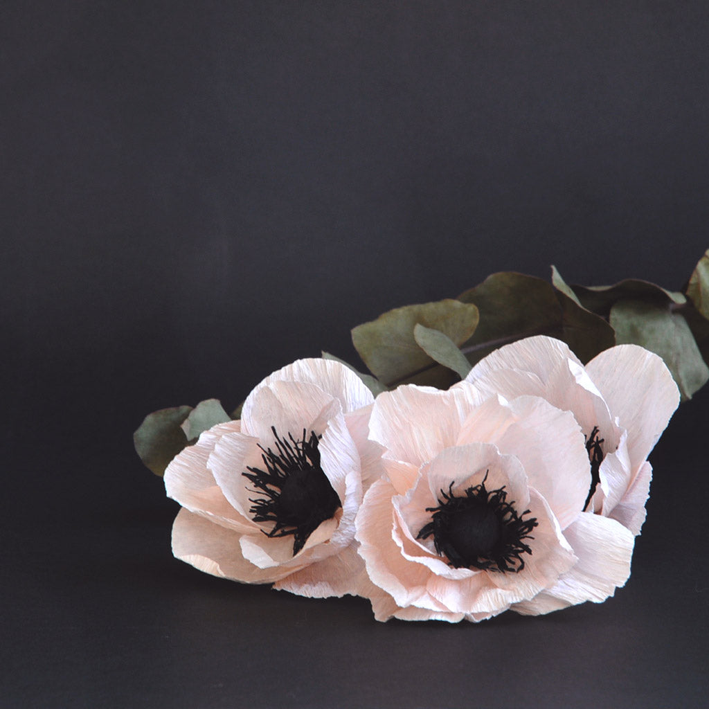 KREPPIPAPERILAJITELMA | CLASSIC