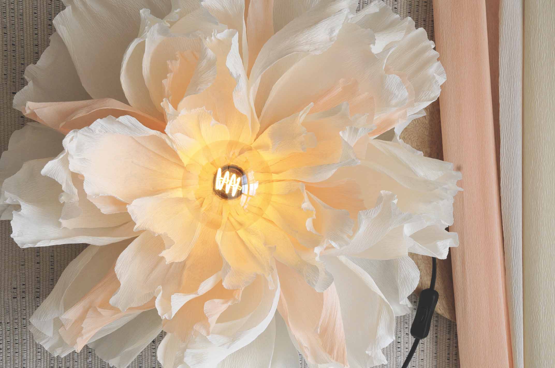 KREPPIPAPERIKUKKALAMPPU