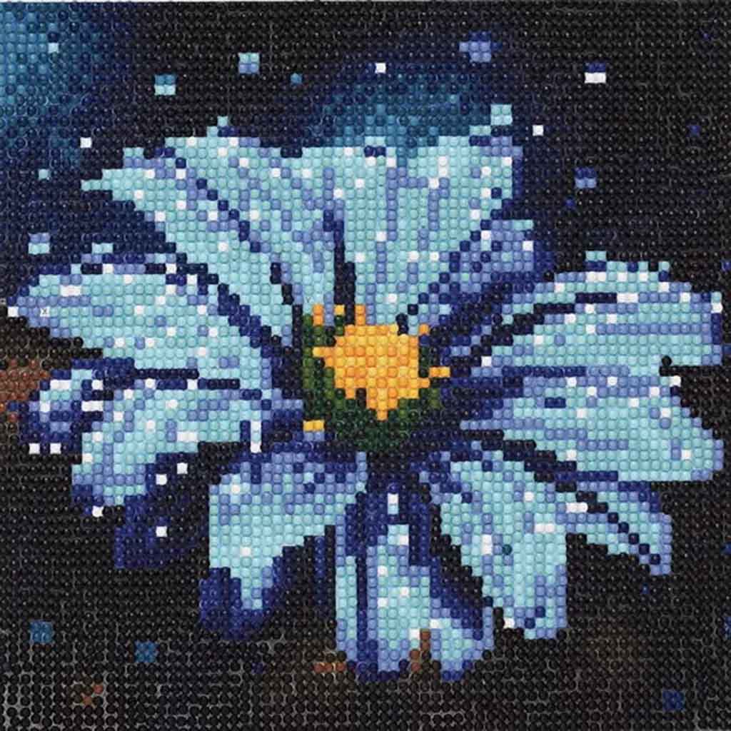TIMANTTIMAALAUS 20X20CM | BLUE DAISY
