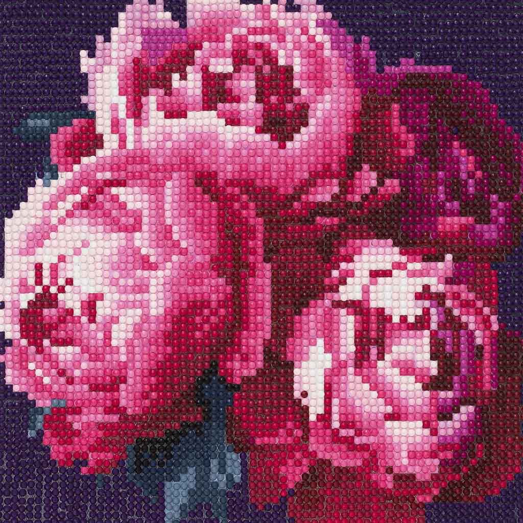 TIMANTTIMAALAUS 20X20CM | PEONIES