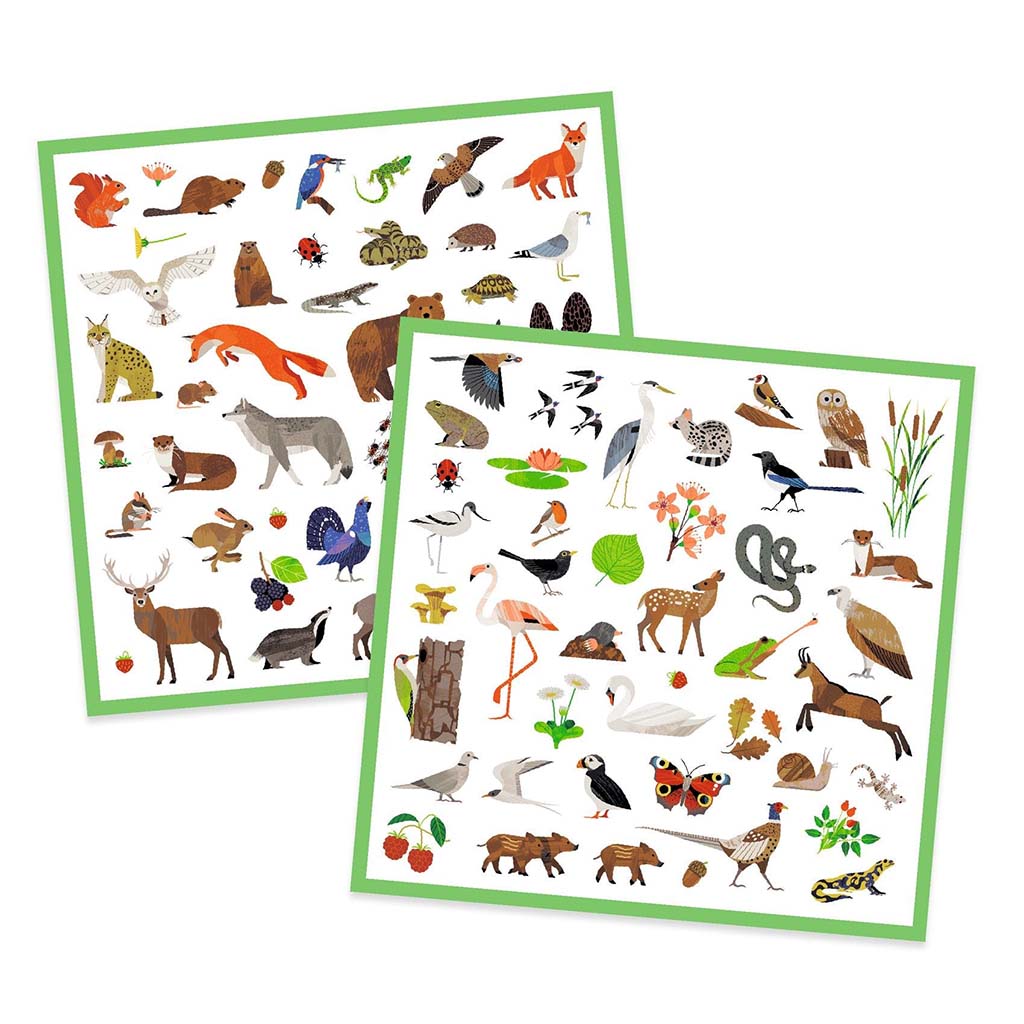 TARRAT | FAUNA