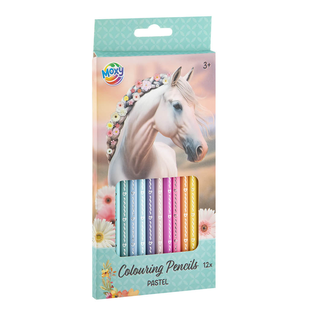 HORSE – PUUVÄRIKYNÄT 12KPL