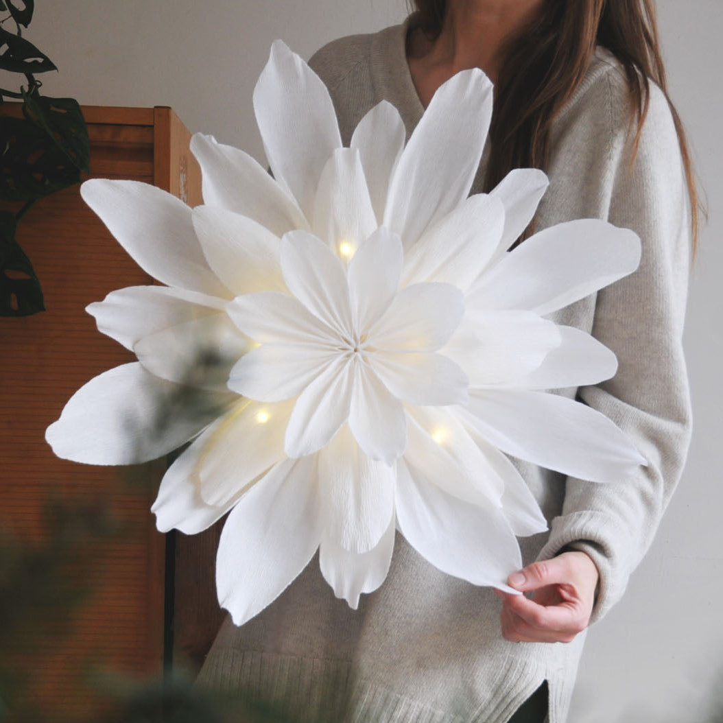 KREPPIPAPERI | FLORISTI