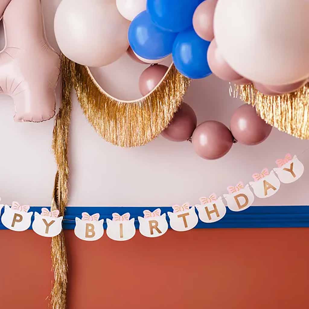 VIIRINAUHA | HAPPY BIRTHDAY - KISSA